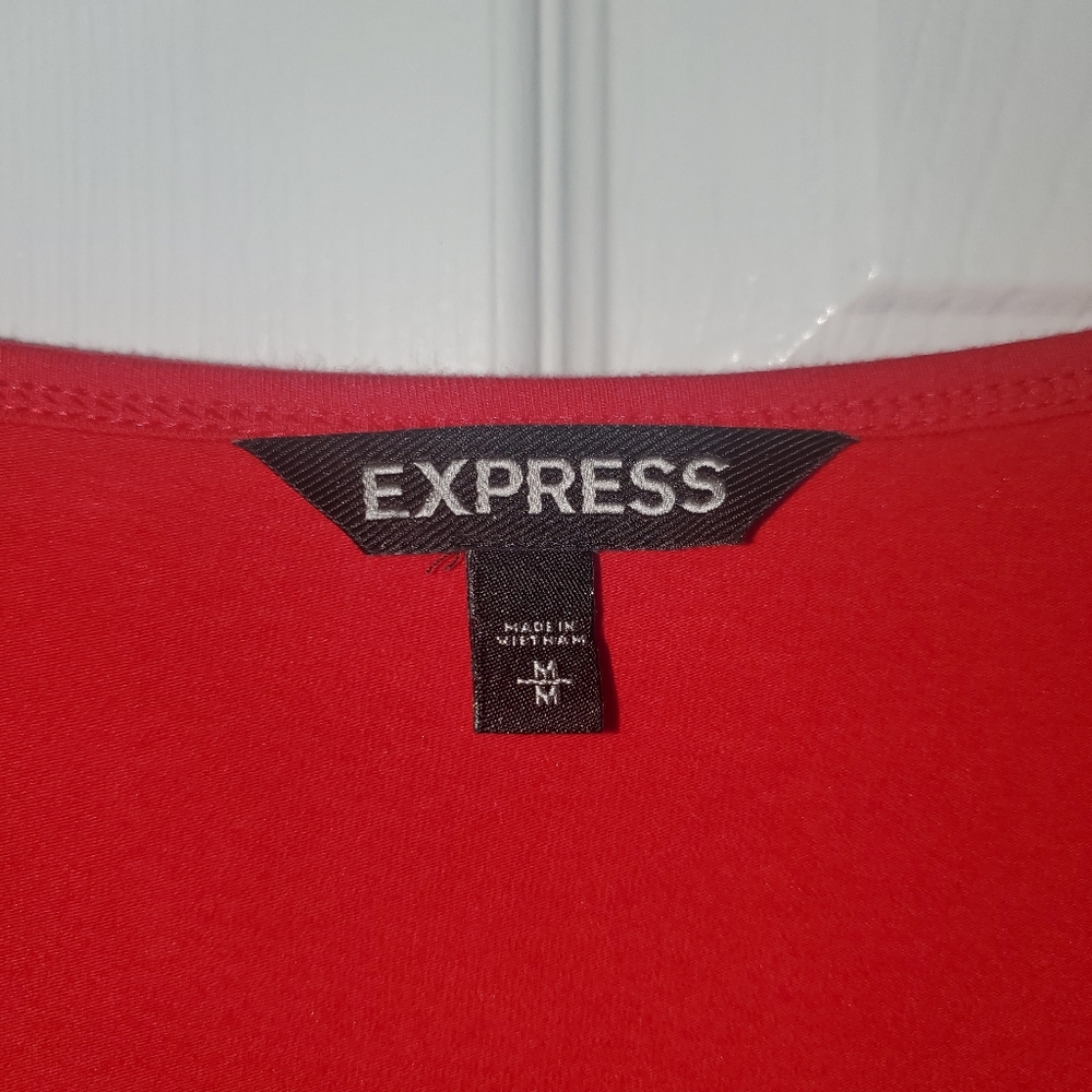 Express Ruffled Bottom Dress - Picture 3 of 3